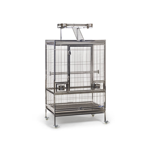 Image showcasing Large Bird Cages | Wayfair